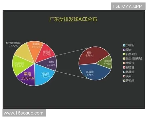 武汉排球队的独特节奏与战术解析深度探讨排球魅力与团队协作