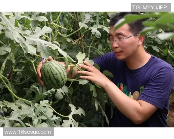 武汉羽毛球队崛起之路:从默默无闻到大满贯的辉煌历程