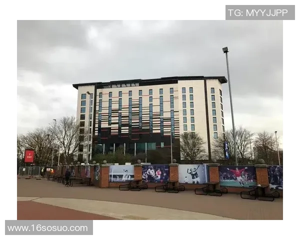 王秀英专访:从球场到人生的精彩旅程与篮球的深厚情缘